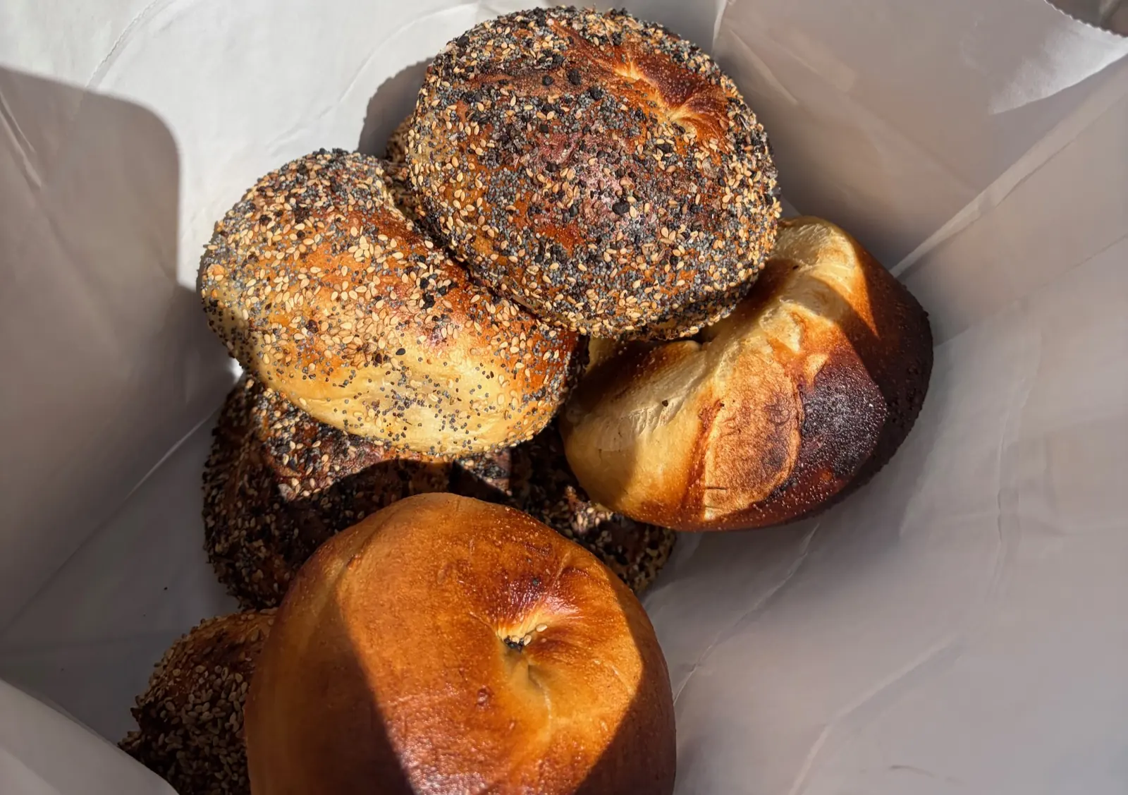 everything and plain bagels in a bagel bagel paper bag