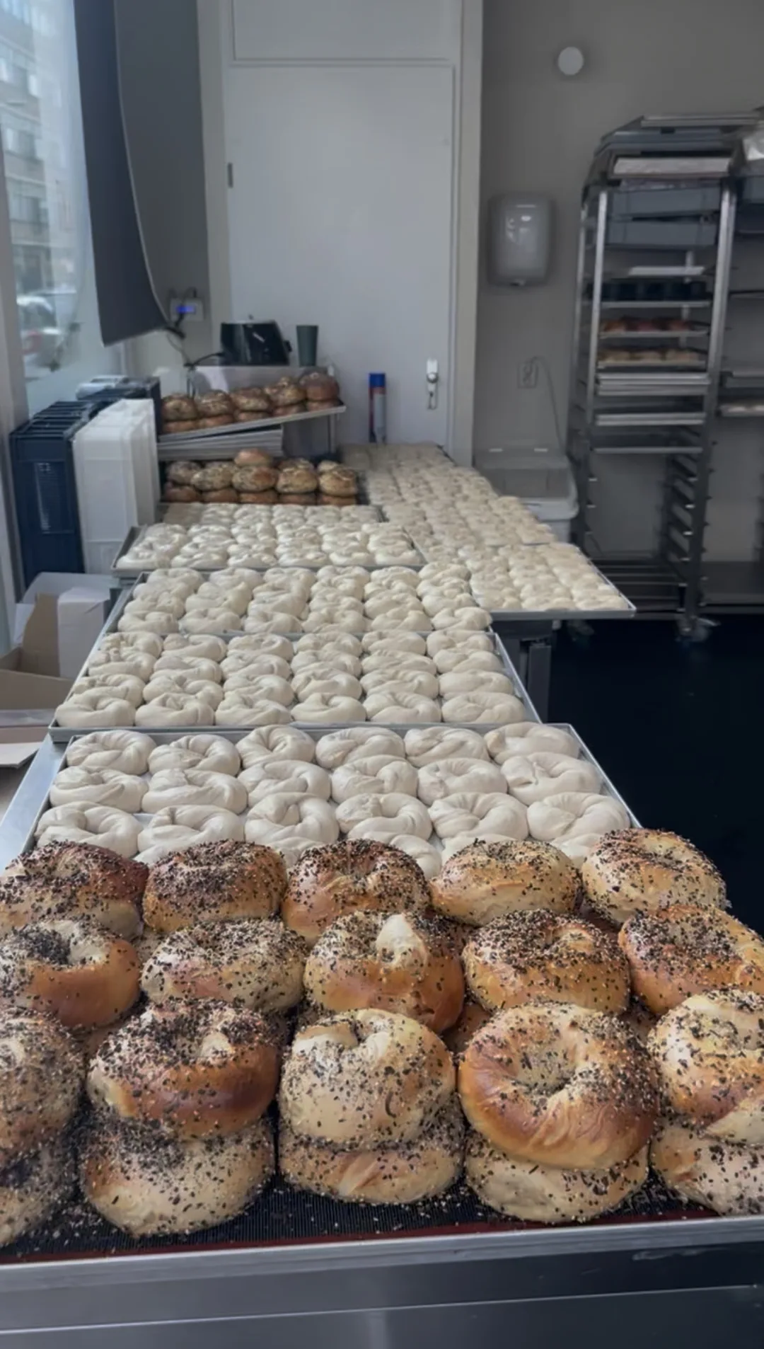 trays of freshly rolled bagels in the bagel bagel kitchen